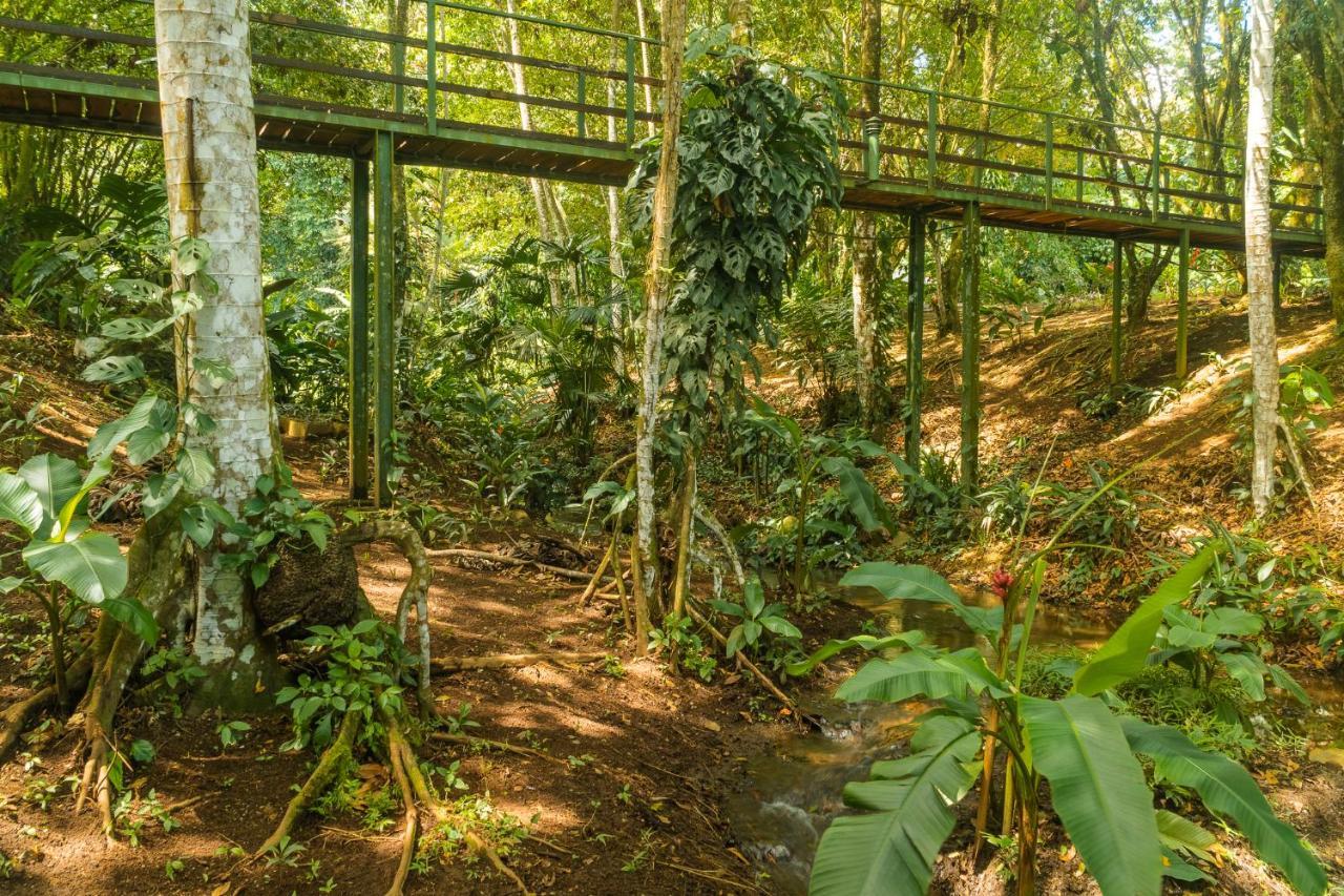 La Fortuna Natural Green Екстериор снимка