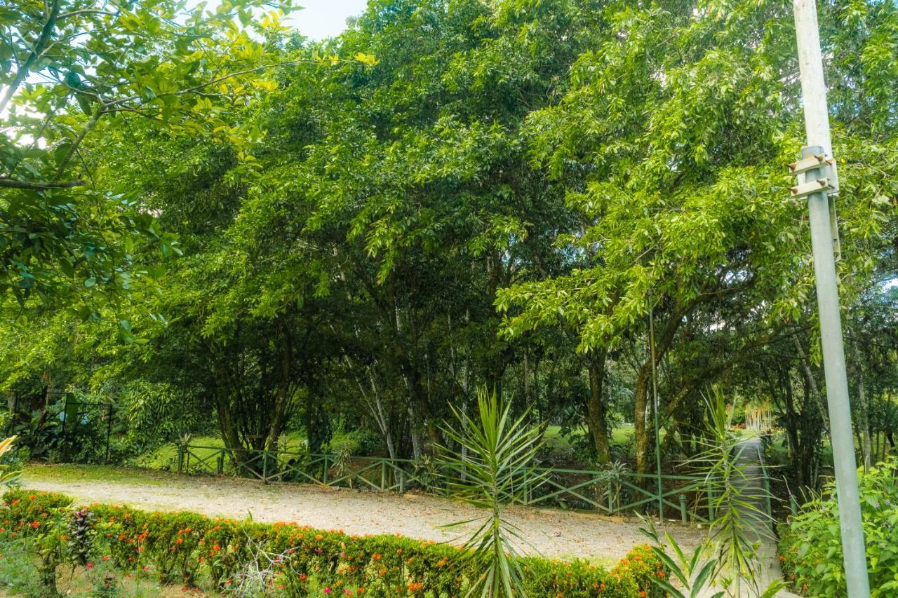 La Fortuna Natural Green Екстериор снимка